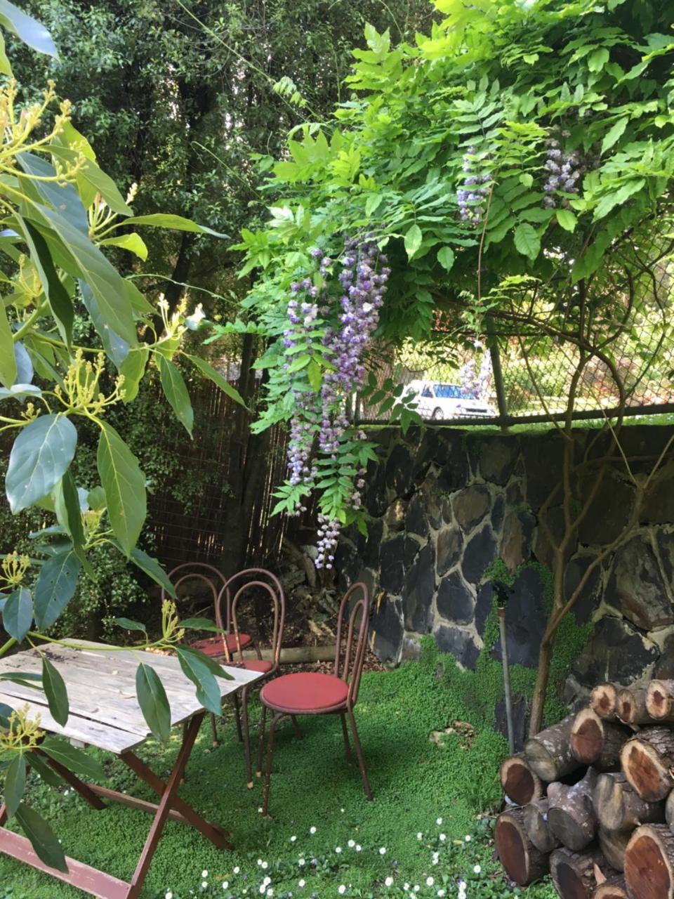Stone'S Throw Cottage Bed And Breakfast Belgrave Bagian luar foto